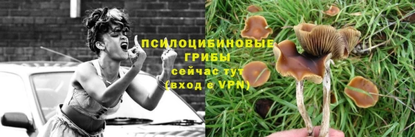 винт Краснослободск