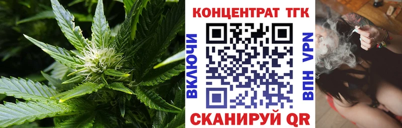 Купить  Бородино  Дистиллят ТГК концентрат 