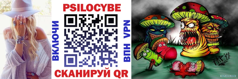 Купить где  Бородино  Псилоцибиновые грибы MAGIC MUSHROOMS 
