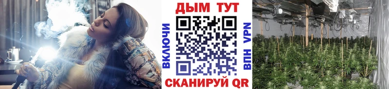 Шишки марихуана Ganja  Купить закладки  Бородино 